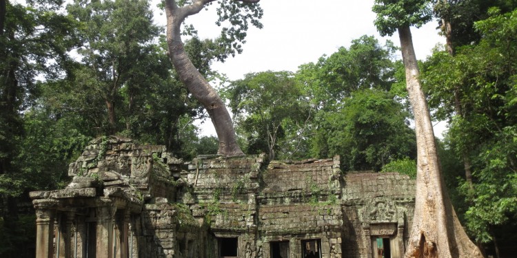 ta-prhom-templo-camboja