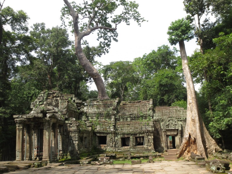 ta-prhom-templo-camboja