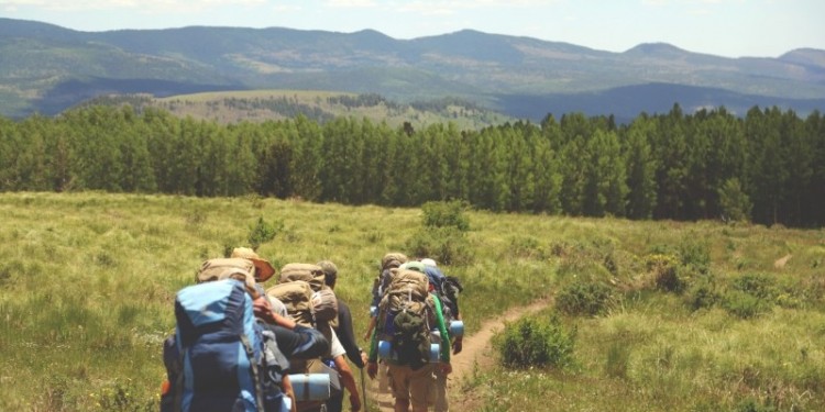 backpack-trees-tree