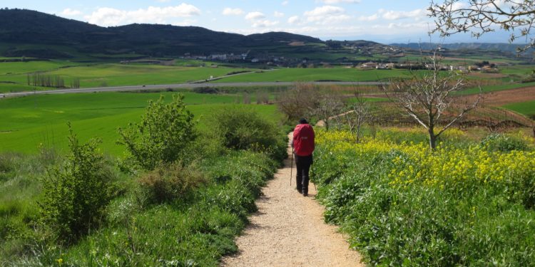 camino_peregrino andando